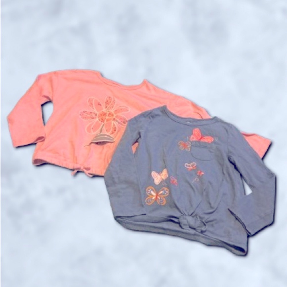 Carter's Pink and Blue Long Sleeve Tees